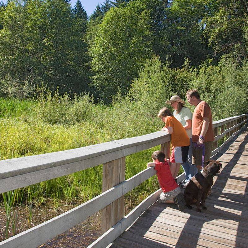 8 Outdoor Adventures for All Ages in Oregon’s Mt. Hood Territory 