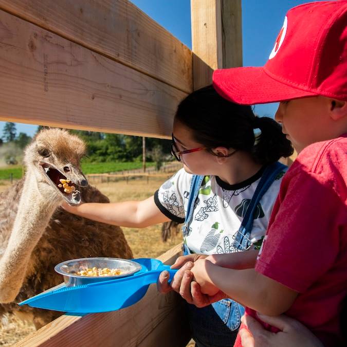 Oregon's Mt. Hood Territory: Which Travel Adventure Is Calling Your Family’s Name?